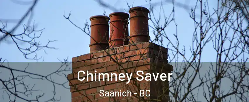 Chimney Saver Saanich - BC