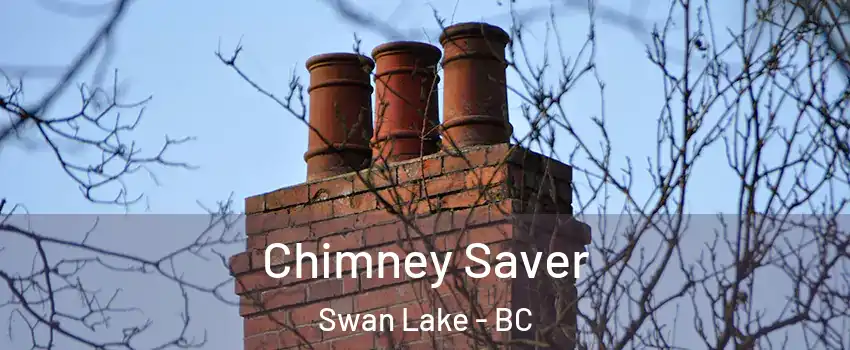  Chimney Saver Swan Lake - BC