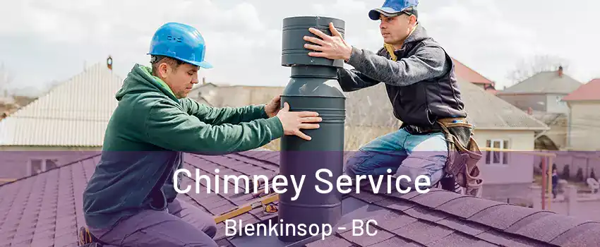  Chimney Service Blenkinsop - BC