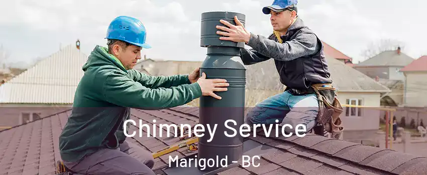  Chimney Service Marigold - BC