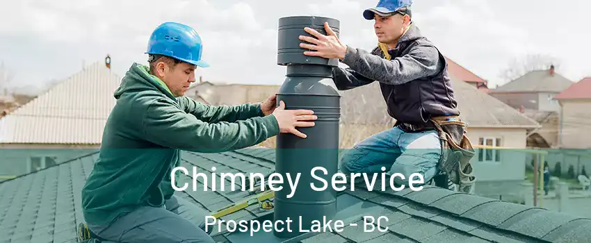  Chimney Service Prospect Lake - BC