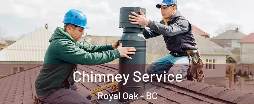  Chimney Service Royal Oak - BC