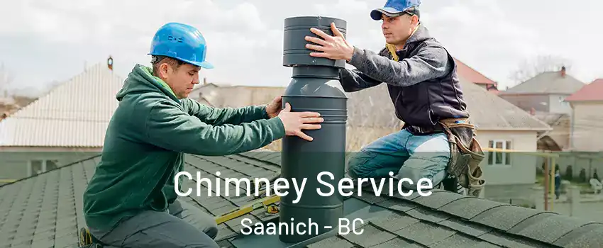  Chimney Service Saanich - BC