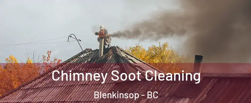  Chimney Soot Cleaning Blenkinsop - BC