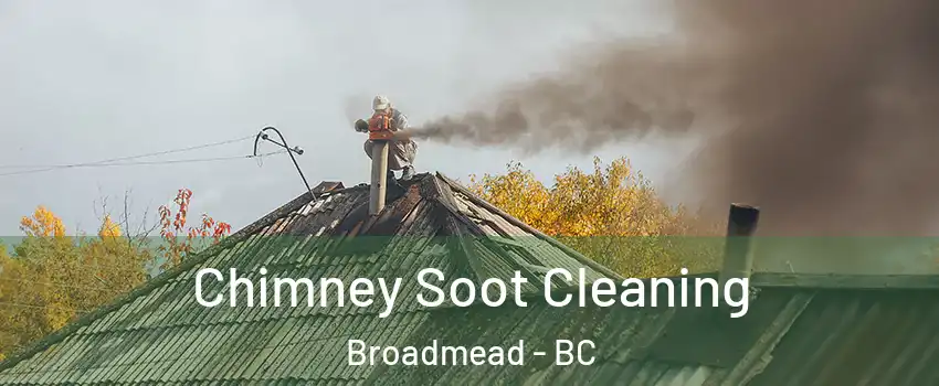  Chimney Soot Cleaning Broadmead - BC