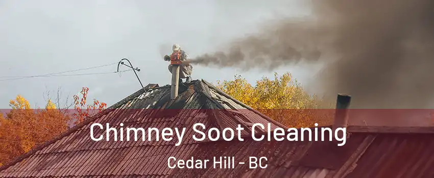  Chimney Soot Cleaning Cedar Hill - BC