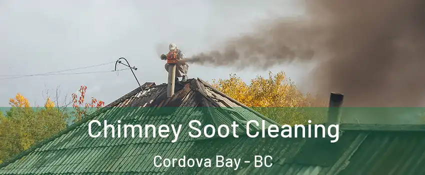 Chimney Soot Cleaning Cordova Bay - BC