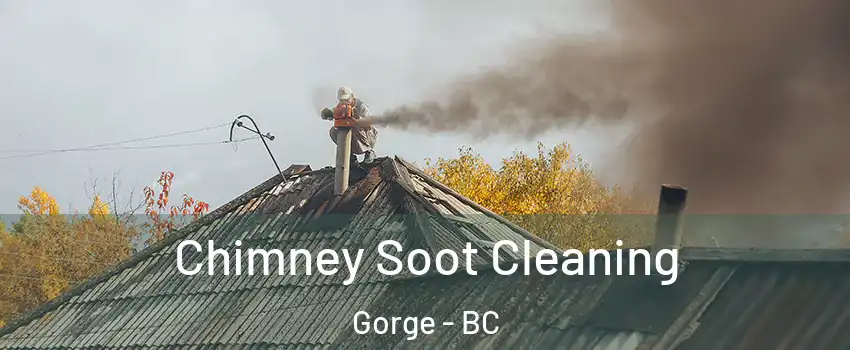  Chimney Soot Cleaning Gorge - BC