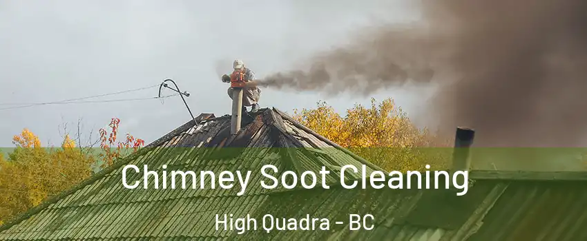  Chimney Soot Cleaning High Quadra - BC