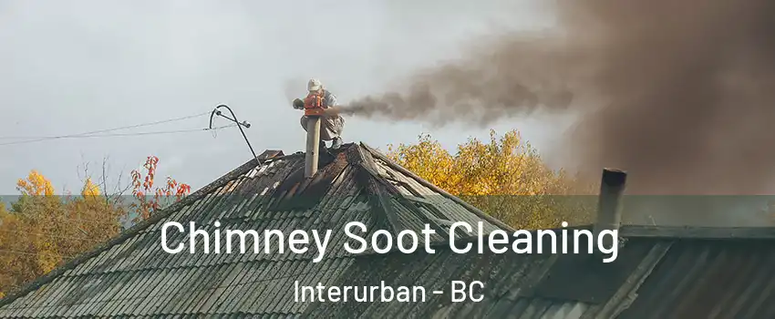 Chimney Soot Cleaning Interurban - BC