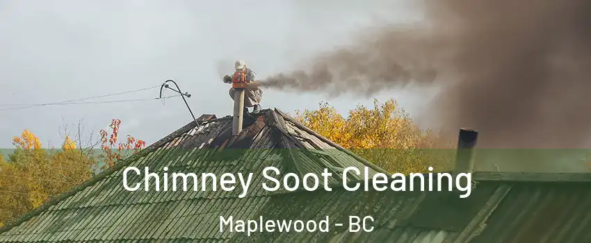  Chimney Soot Cleaning Maplewood - BC