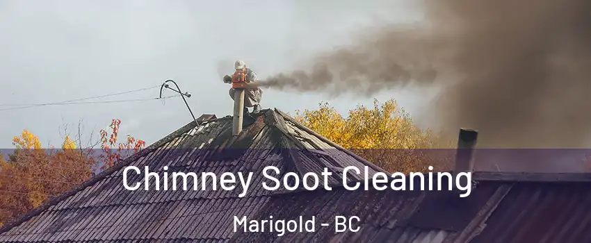Chimney Soot Cleaning Marigold - BC