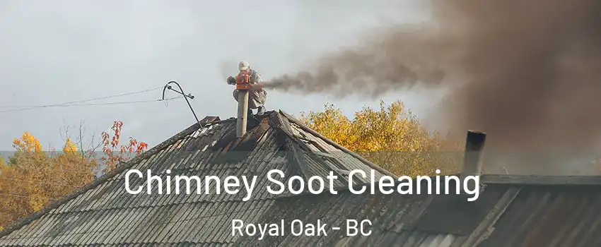  Chimney Soot Cleaning Royal Oak - BC