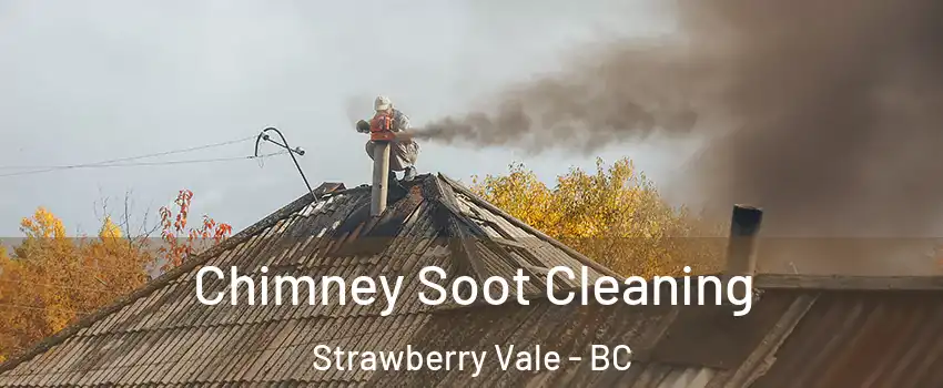 Chimney Soot Cleaning Strawberry Vale - BC