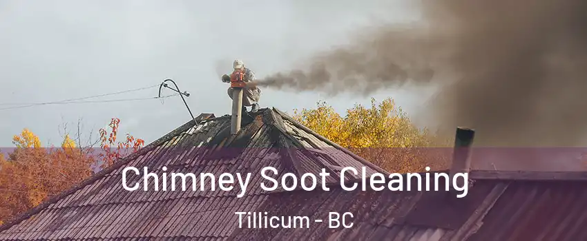  Chimney Soot Cleaning Tillicum - BC