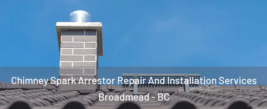  Chimney Spark Arrestor Repair And Installation Services Broadmead - BC