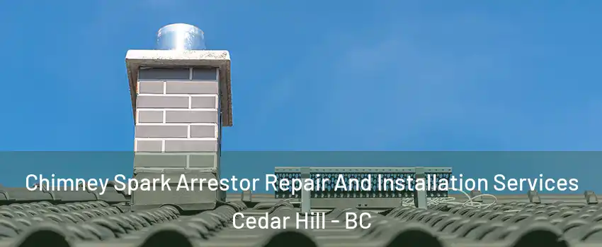  Chimney Spark Arrestor Repair And Installation Services Cedar Hill - BC
