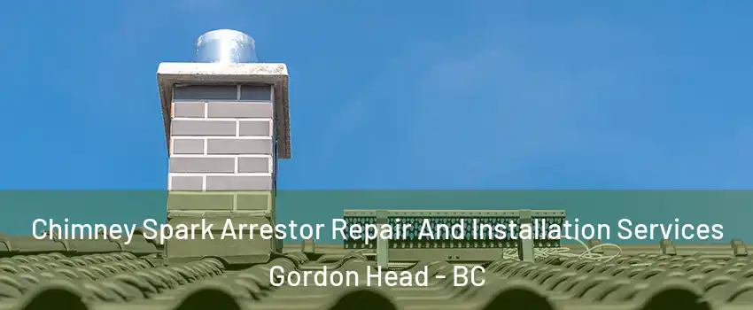  Chimney Spark Arrestor Repair And Installation Services Gordon Head - BC