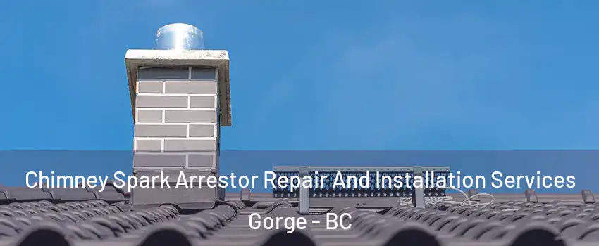  Chimney Spark Arrestor Repair And Installation Services Gorge - BC