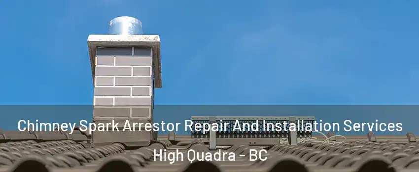  Chimney Spark Arrestor Repair And Installation Services High Quadra - BC