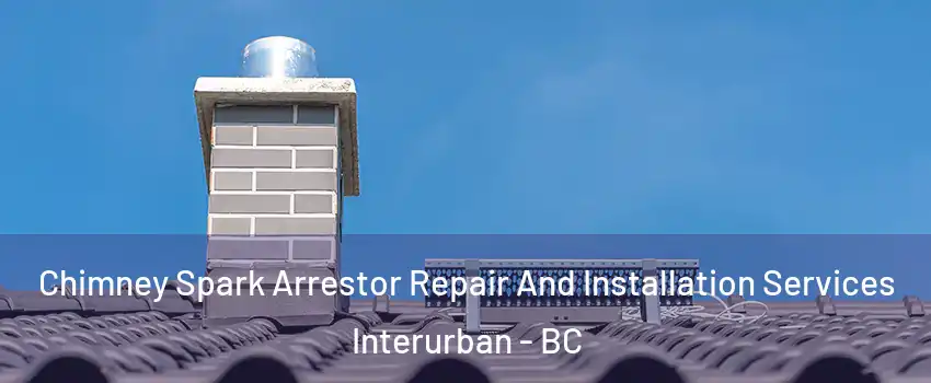  Chimney Spark Arrestor Repair And Installation Services Interurban - BC