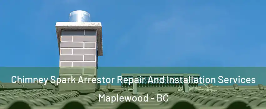  Chimney Spark Arrestor Repair And Installation Services Maplewood - BC