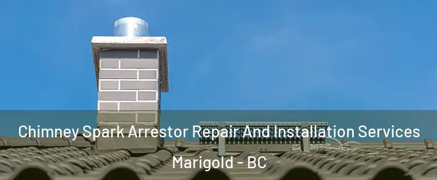  Chimney Spark Arrestor Repair And Installation Services Marigold - BC