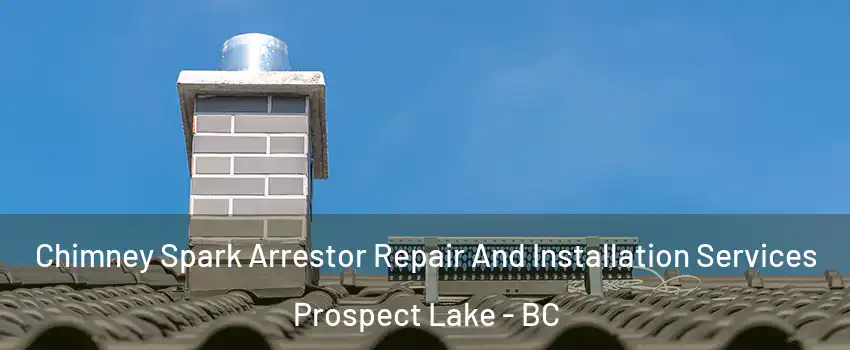  Chimney Spark Arrestor Repair And Installation Services Prospect Lake - BC