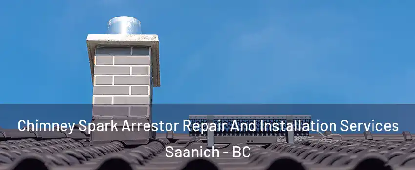  Chimney Spark Arrestor Repair And Installation Services Saanich - BC