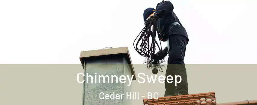  Chimney Sweep Cedar Hill - BC