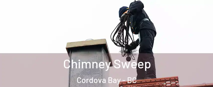  Chimney Sweep Cordova Bay - BC