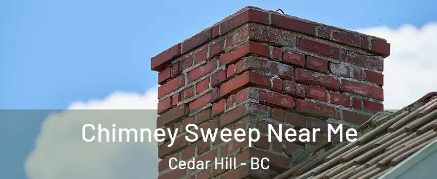 Chimney Sweep Near Me Cedar Hill - BC