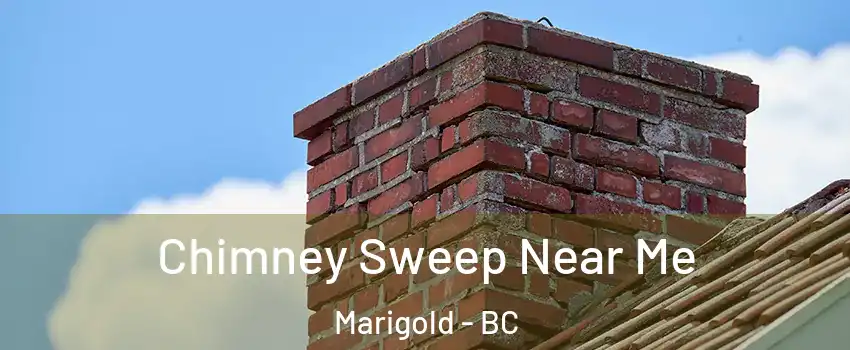 Chimney Sweep Near Me Marigold - BC