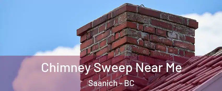  Chimney Sweep Near Me Saanich - BC