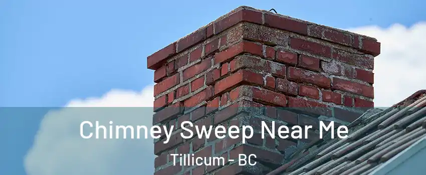  Chimney Sweep Near Me Tillicum - BC