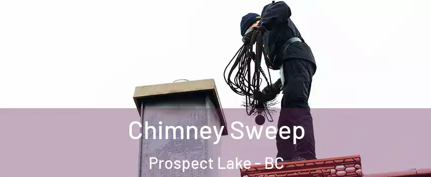  Chimney Sweep Prospect Lake - BC