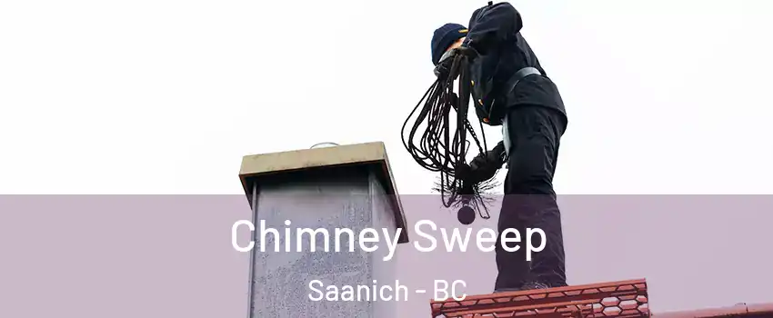 Chimney Sweep Saanich - BC