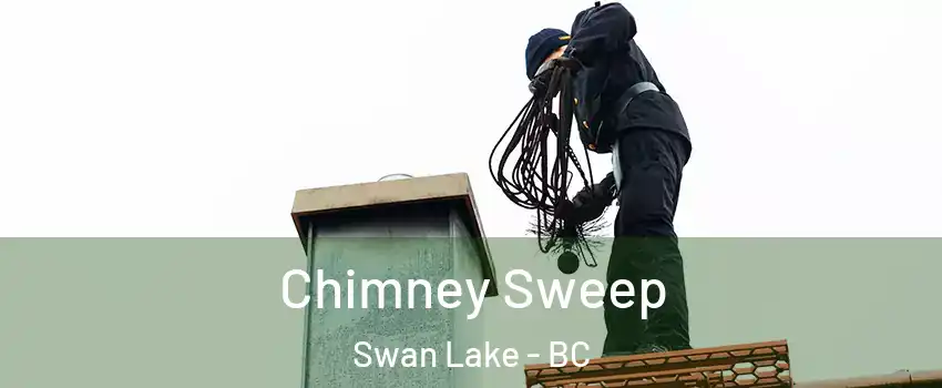  Chimney Sweep Swan Lake - BC
