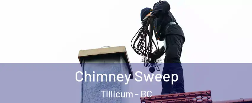  Chimney Sweep Tillicum - BC