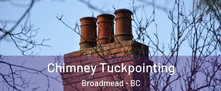  Chimney Tuckpointing Broadmead - BC