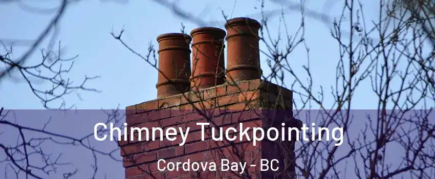  Chimney Tuckpointing Cordova Bay - BC