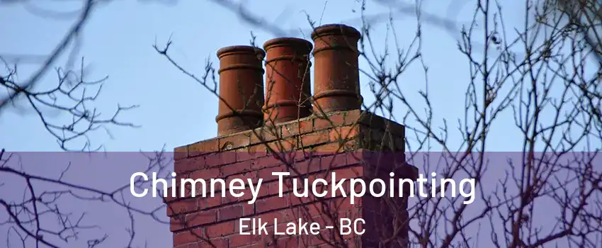 Chimney Tuckpointing Elk Lake - BC