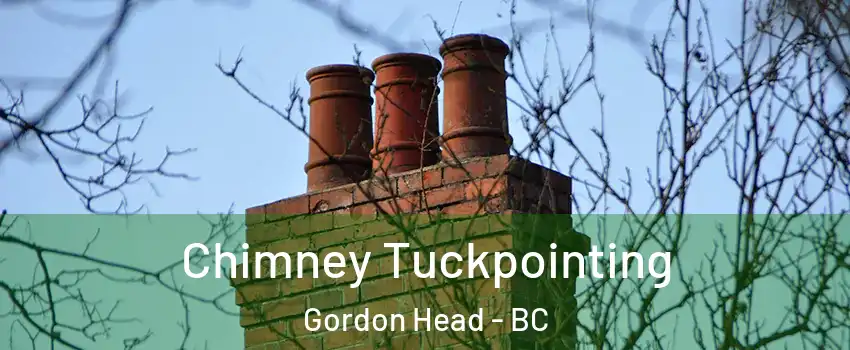  Chimney Tuckpointing Gordon Head - BC