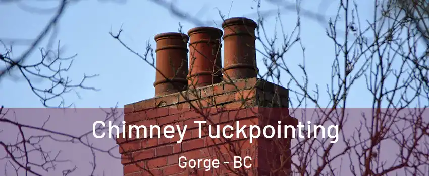 Chimney Tuckpointing Gorge - BC
