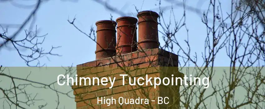  Chimney Tuckpointing High Quadra - BC