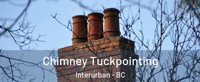  Chimney Tuckpointing Interurban - BC