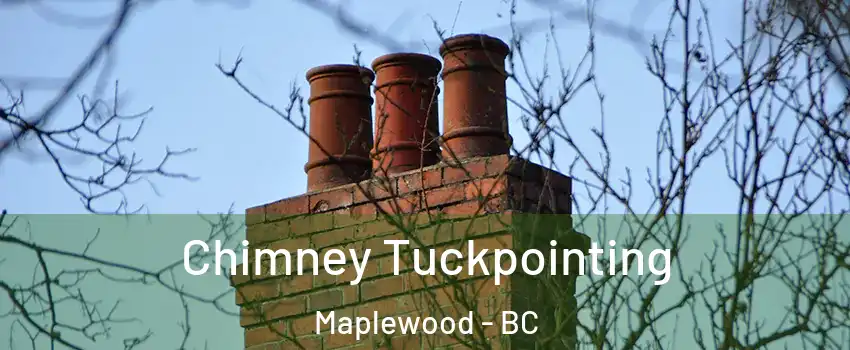  Chimney Tuckpointing Maplewood - BC