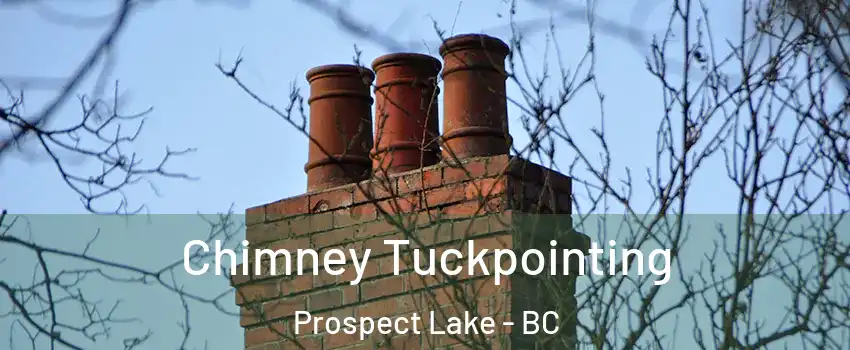  Chimney Tuckpointing Prospect Lake - BC