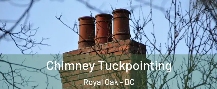  Chimney Tuckpointing Royal Oak - BC