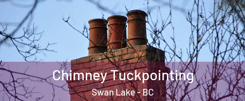 Chimney Tuckpointing Swan Lake - BC